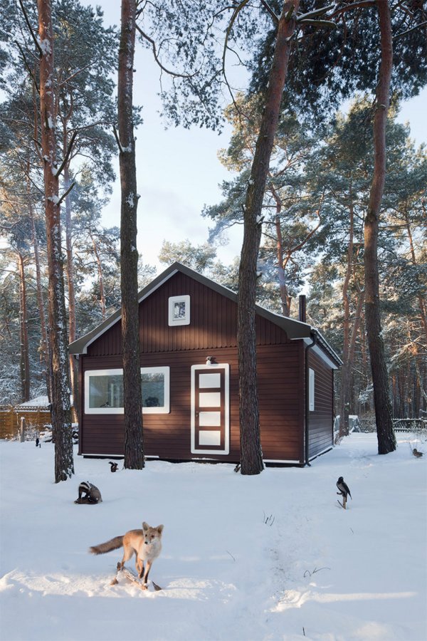 A small "gingerbread house" in the forest. The 667 sq ft cottage has a loft divided into two sleeping spaces. | www.facebook.com/SmallHouseBliss