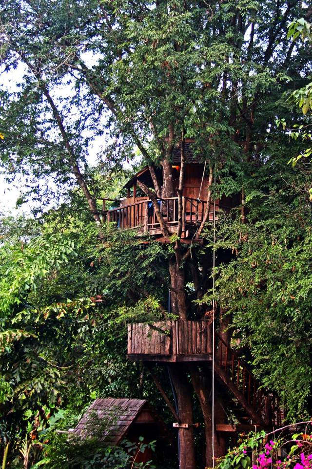 Treehouse at the Rabeang Pasak Chiangmai Treehouse Resort in northern Thailand. | www.facebook.com/SmallHouseBliss